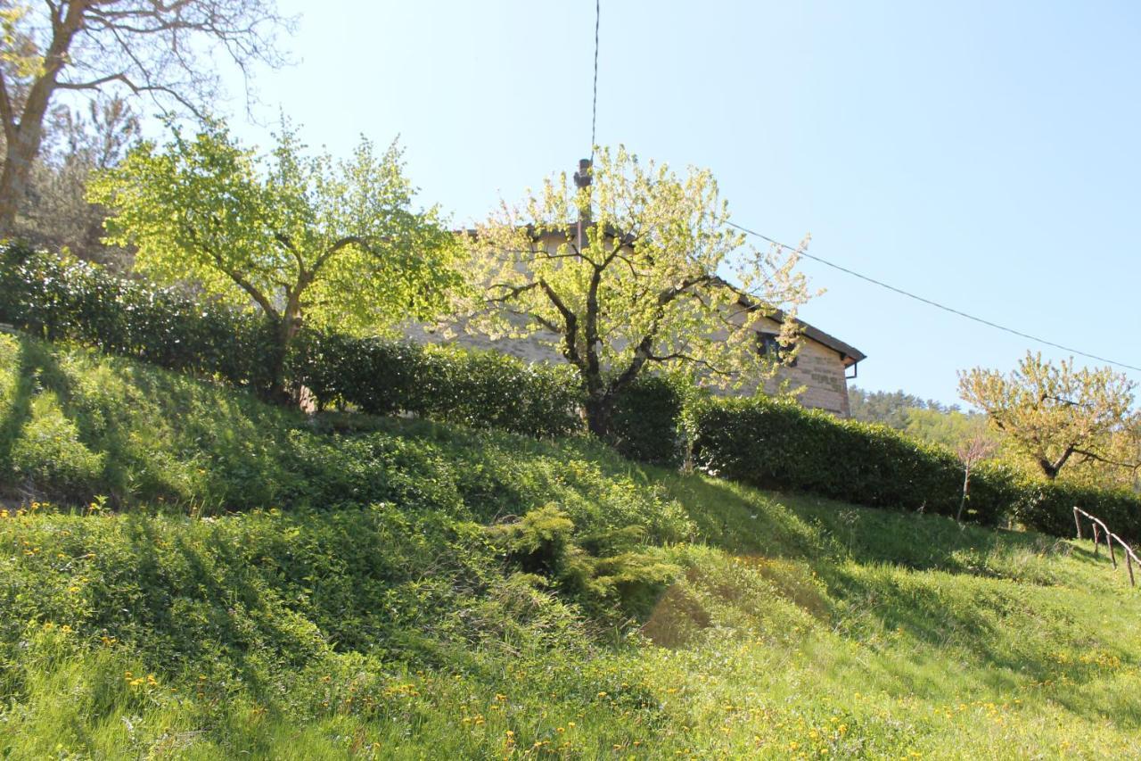 B&B Paradiso Gubbio Exteriör bild
